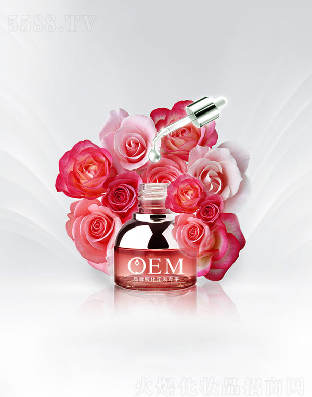 VƼ޹˾õ弚(x)ԭҺOEM