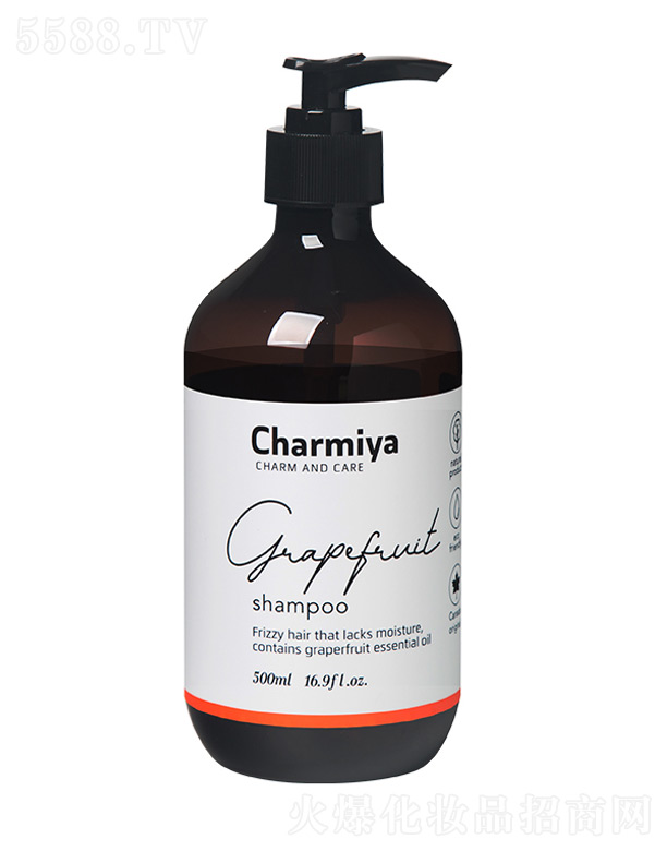 |AyƷ޹˾ȋZ.ֹϴl(f) 500ml