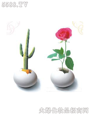 ϺƼ޹˾ǻޏ(f)3ɆT