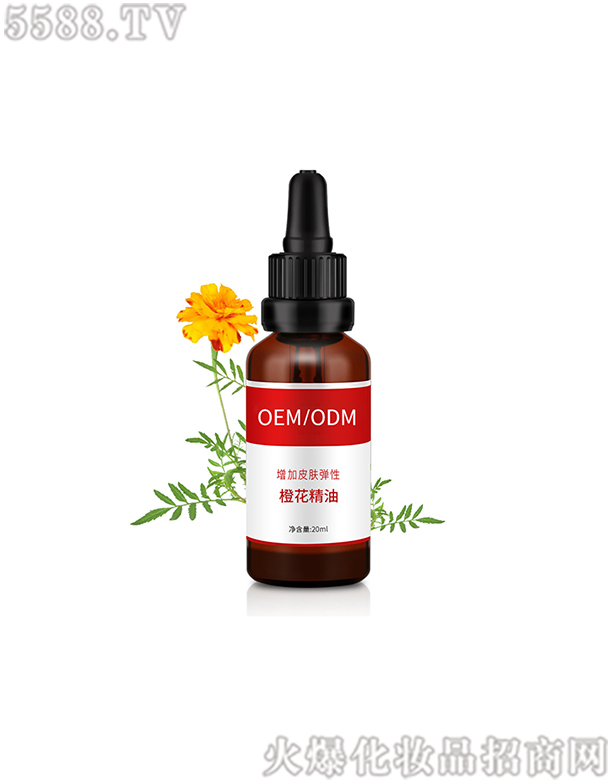 V|݌(sh)I(y)޹˾ηȻ