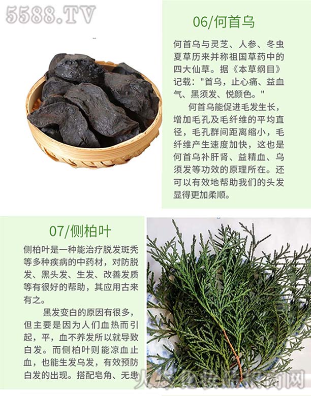 Ȫֿt(y)ˎ޹˾l(f)ѾѾݱֲϴl(f)飨מ(c)~