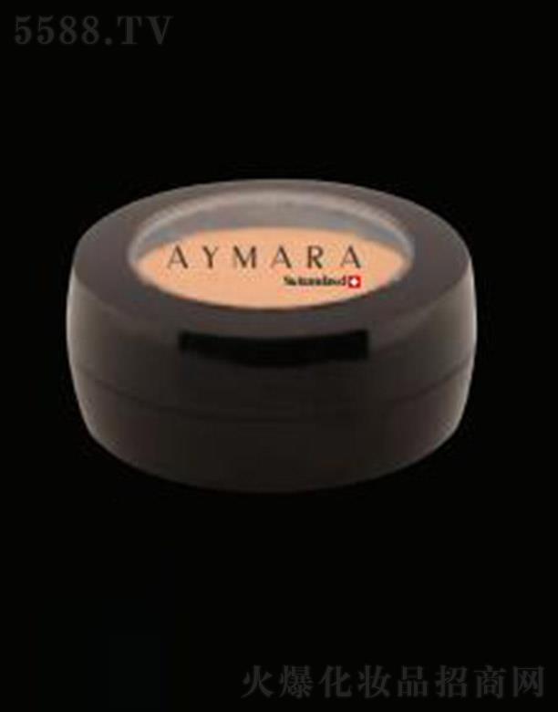 ԊϺQ޹˾AYMARA۲׊y