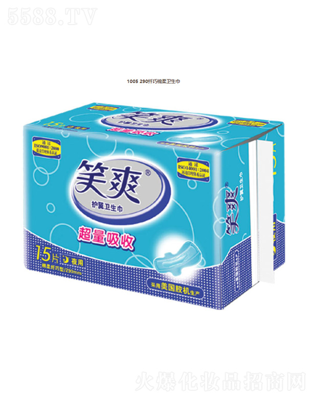 KЦF޹˾1005 290wl(wi)