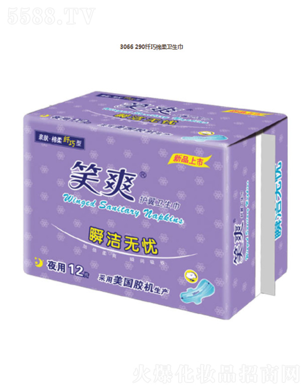 KЦF޹˾3066 290wl(wi)