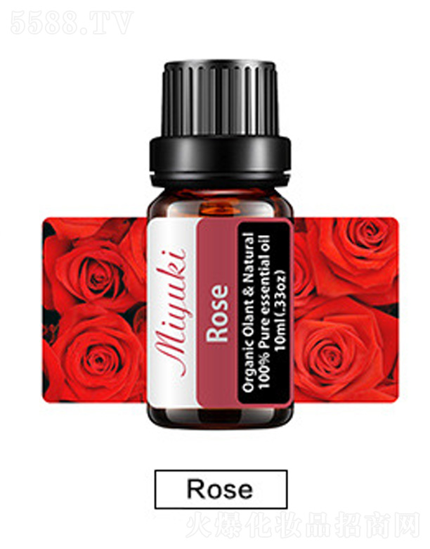 V׋IƼ޹˾o(h)w޹Ħ-Roseõ