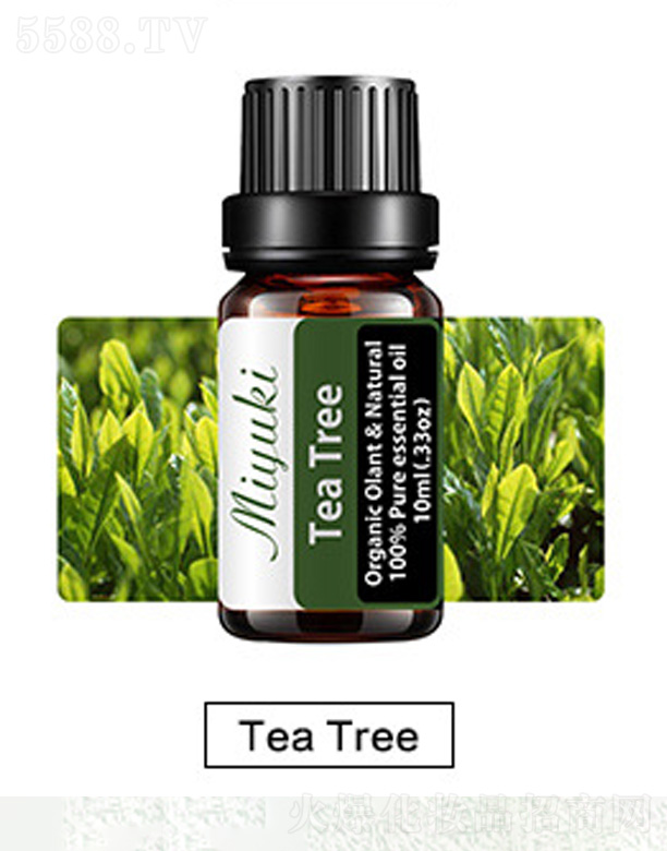 V׋IƼ޹˾o(h)w޹Ħ-Tea Tree