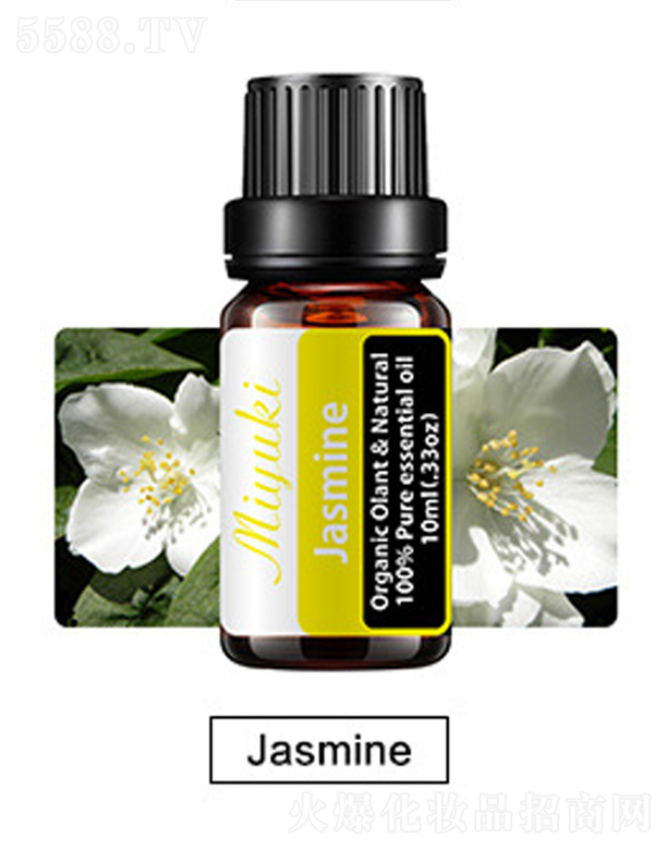 V׋IƼ޹˾o(h)w޹Ħ-Jasmine