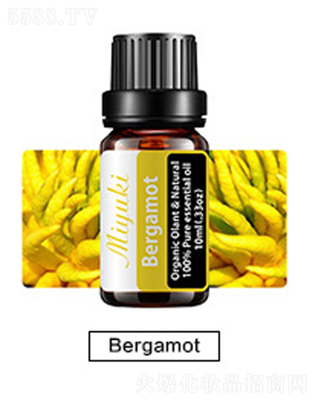 V׋IƼ޹˾o(h)w޹Ħ-Bergamotָ