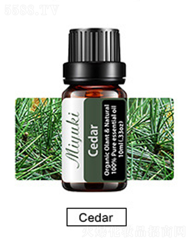 V׋IƼ޹˾o(h)w޹Ħ-ѩ