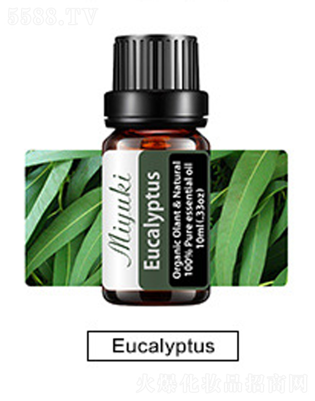V׋IƼ޹˾o(h)w޹Ħ-Eucalyptus