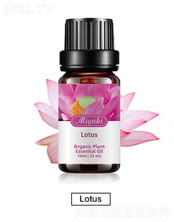 V׋IƼ޹˾o(h)w޹Ħ-Lotusɏ