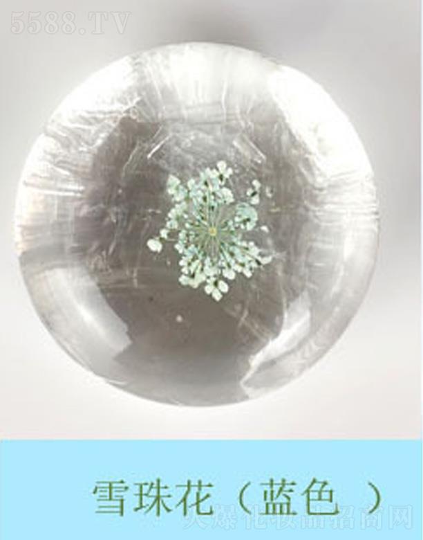 VкmƼ޹˾rѩ黨-{ɫ