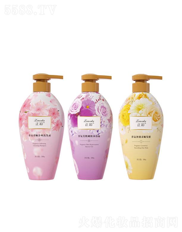 VƼ޹˾V   ݝ(rn)혰l(f)Ĥ   ־