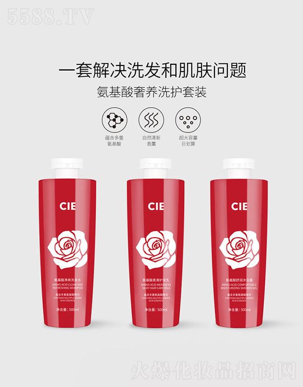 V|ջyƷ޹˾V|   CIEB(yng)ϴo(h)   坍