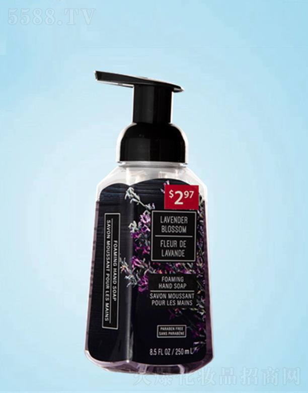 ׿I(y)޹˾׿ĭϴҺ 250ml  Hwĭ