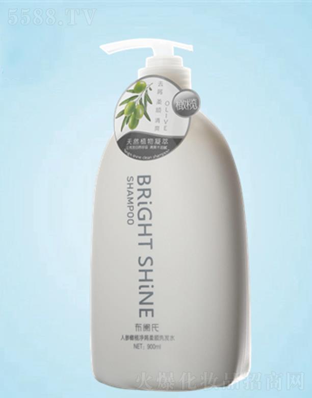 ׿I(y)޹˾BRiGHT SHiNEмϴl(f)ˮ  900ML