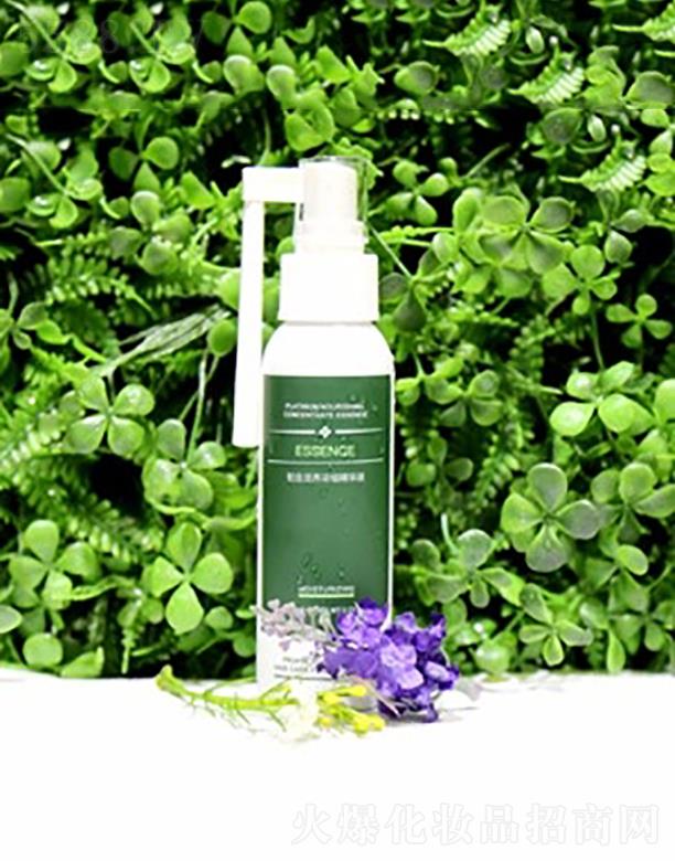 VЭaƼ؟ι˾zʽB(yng)sAҺ  揈ë