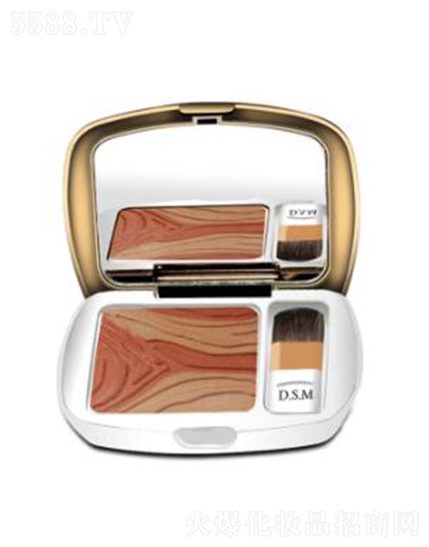 VɫyƷ޹˾D.S.MzaʱP04 I(yng)ʽͬyЧ