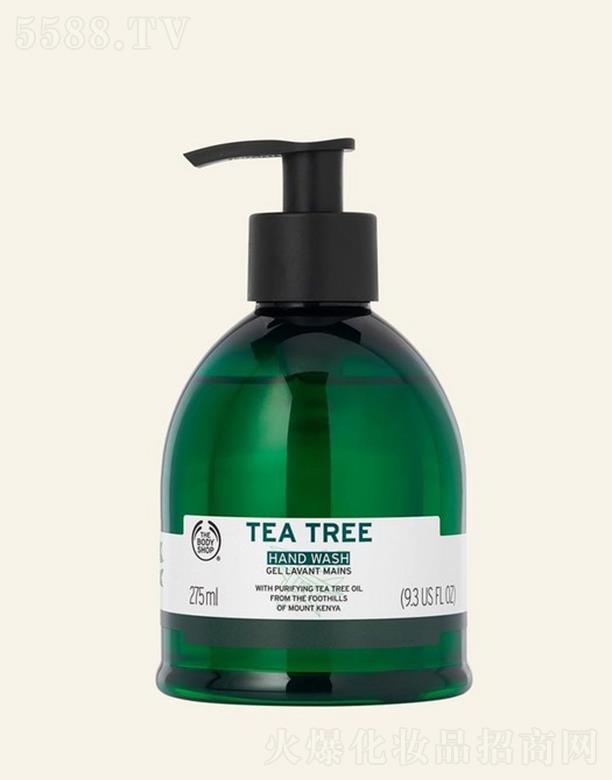 WR(Ї)޹˾wС䁲䝍Һ 275ml