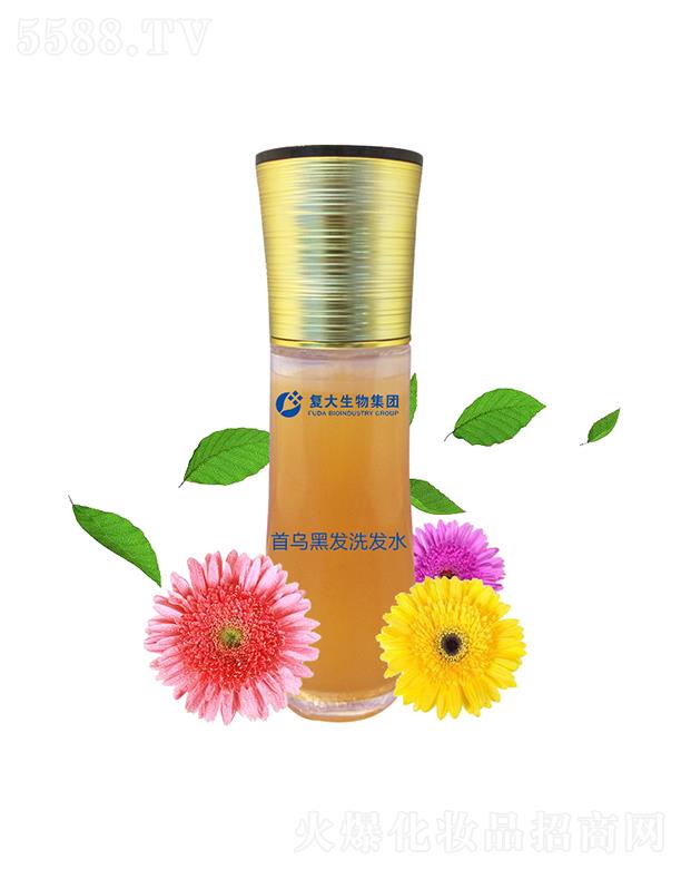 ɽ|(f)Ƽ޹˾(f)ＯFמڰl(f)ϴl(f)ˮӹ