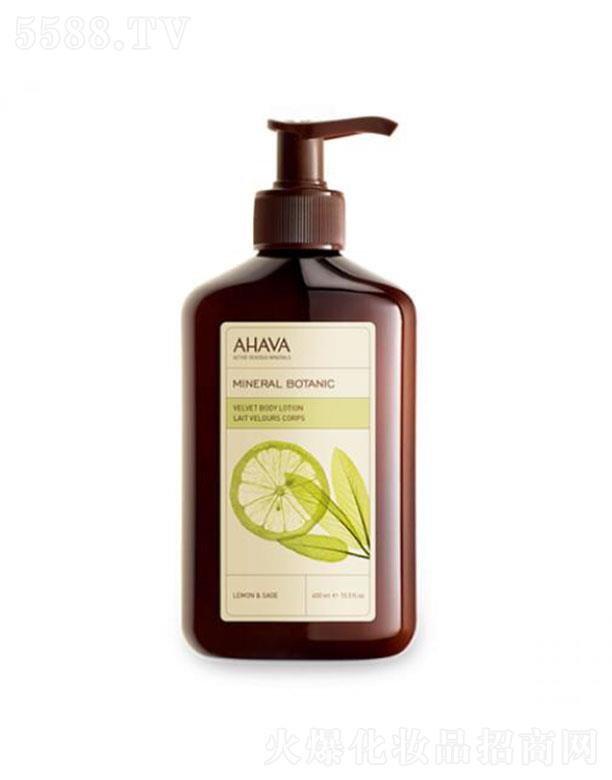 㽭ݻyƷ޹˾AHAVAVֲzqw β 400ml wܛ