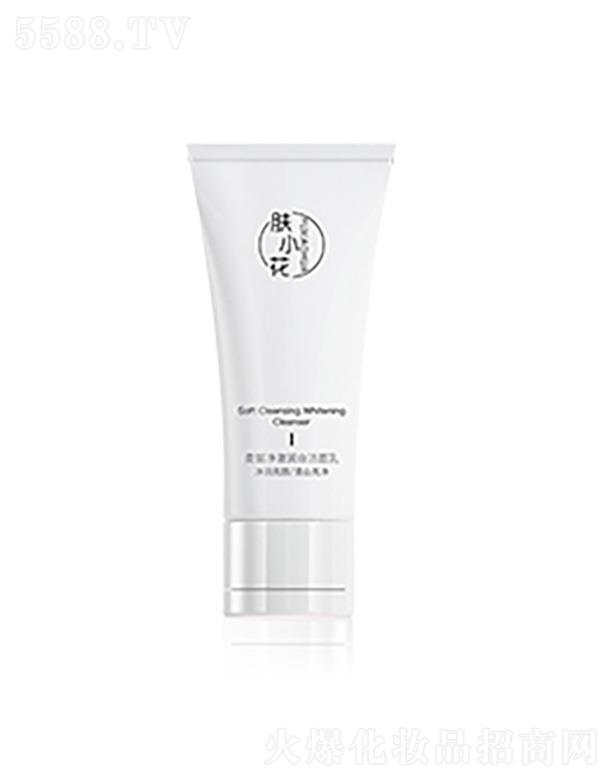 VŻyƷ޹˾wС(rn)ם 100g