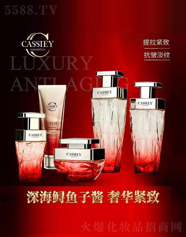 V|zə(qun)ͶYF(tun)޹˾CASSIEY~uڽob