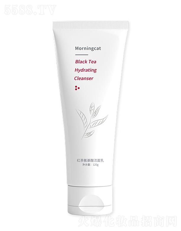 ɽUŻyƷ޹˾Ԫ؈t谱ᝍ