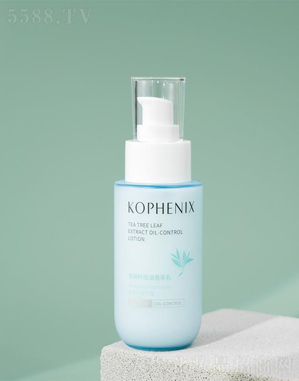 ݿPyƷɷ޹˾P(sh)~ݼ