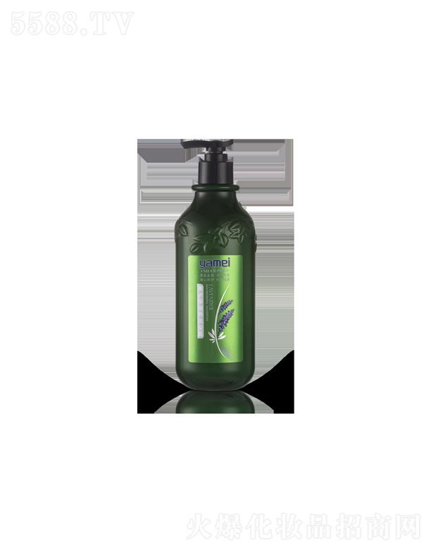 Kû޹˾޹²B(yng)ϴl(f)¶