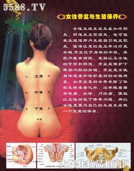 VݼƼ޹˾豣B(yng)׽B