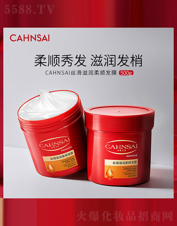 CAHNSAIz̝혰l(f)Ĥ 500g