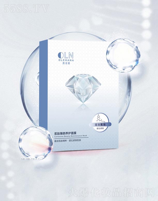 V|ĽԊ(sh)   ĽԊ(sh)üB(yng)o(h)Ĥ   