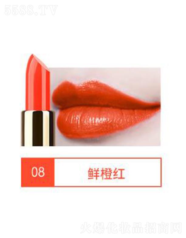 VIBELYr(sh)̝(rn)Ȼڼt08rȼt