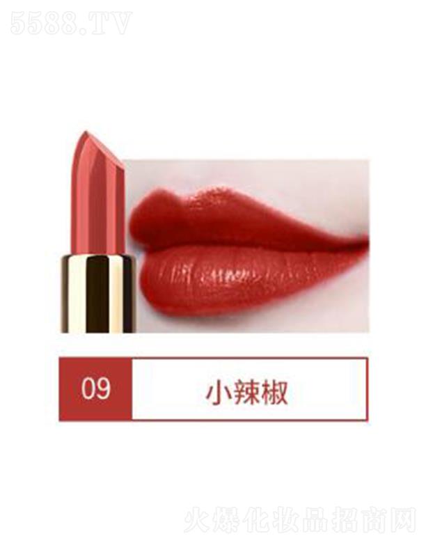 VIBELYr(sh)̝(rn)Ȼڼt09С