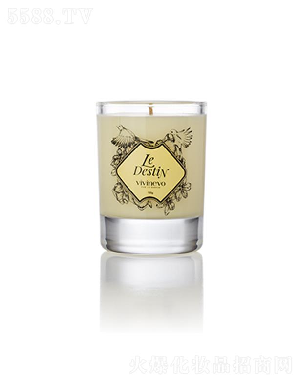 vivinevo(jng)\(yn)ϞTϞ