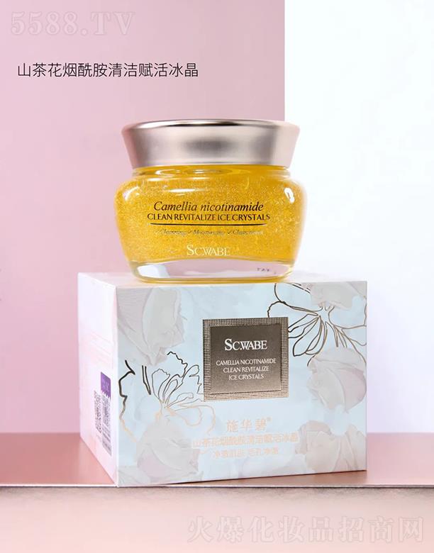 ʩA--SCWABEɽ軨坍x