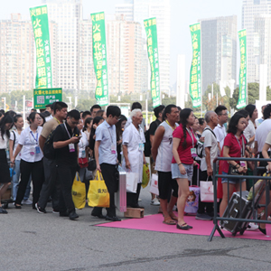 2019I(y)[(hu)𱬾W(wng)F(tun)(du)