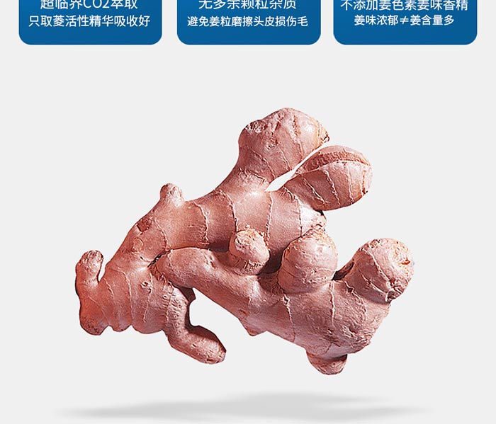 zּt֭B(yng)(rn)ϴl(f)