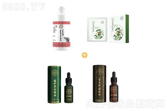 茶氏家族全新升級 茶氏家族全新升級