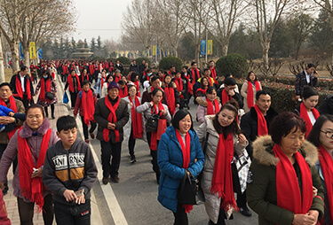 tϲc꣡𱬾W(wng)y(tng)һoĸl(f)ϲct